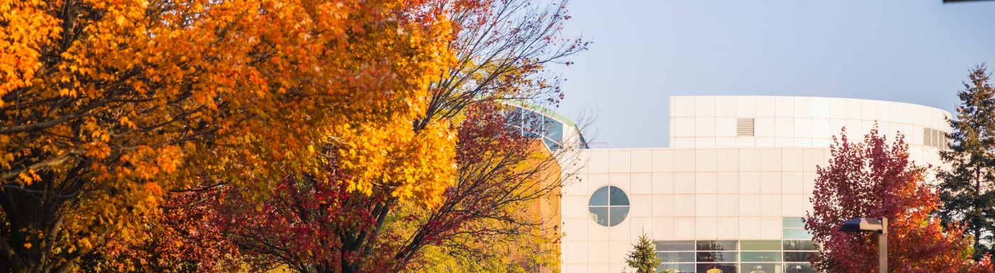 CMU Campus during Fall