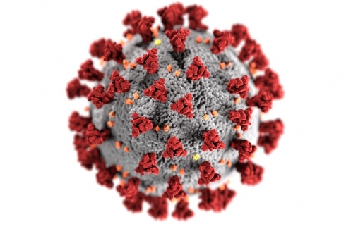 COVID-19, courtesy of CDC